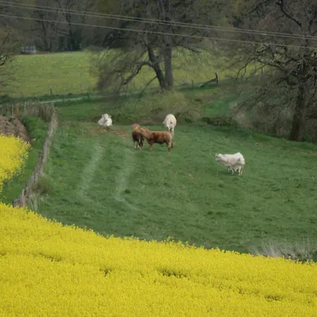 A La Loub Moureuille